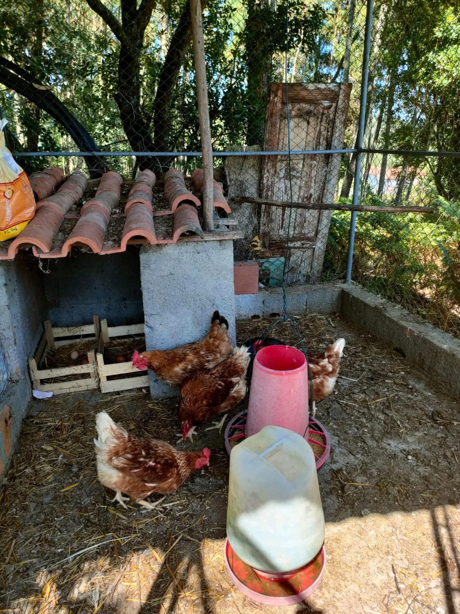 Da Fonte Seca